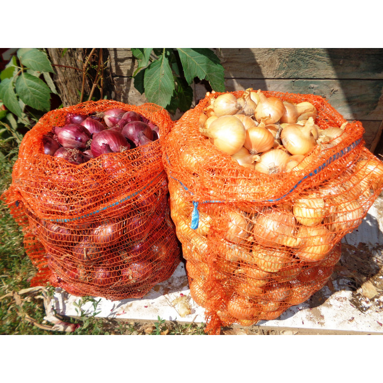 Kuchynská cibuľa 5kg